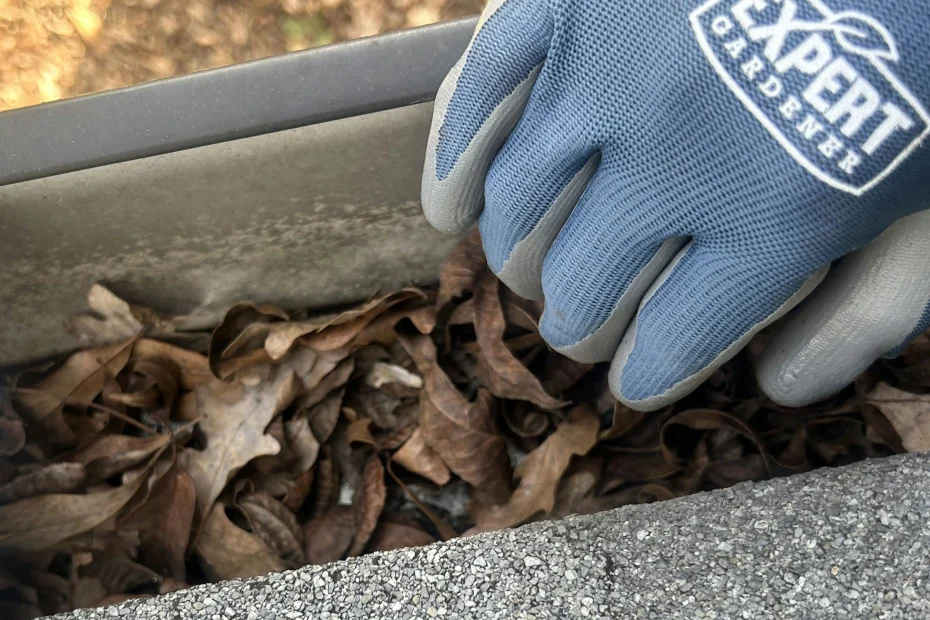 Bethany Gutter Cleaning