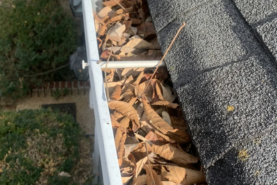 Bethany Gutter Cleaning